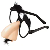 Disguise Glasses