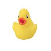 Small Rubber Ducks - Yellow