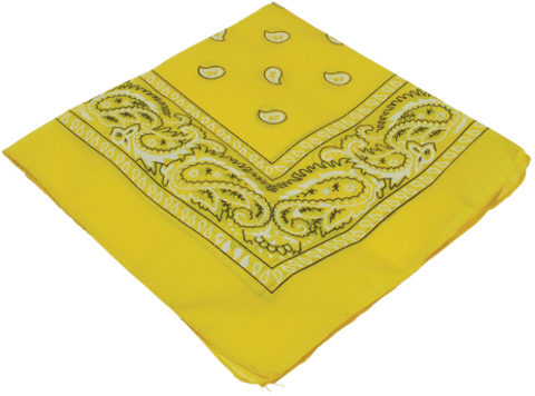 bandanas rags dollardays