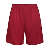 Men's Performance Shorts - Large, Red