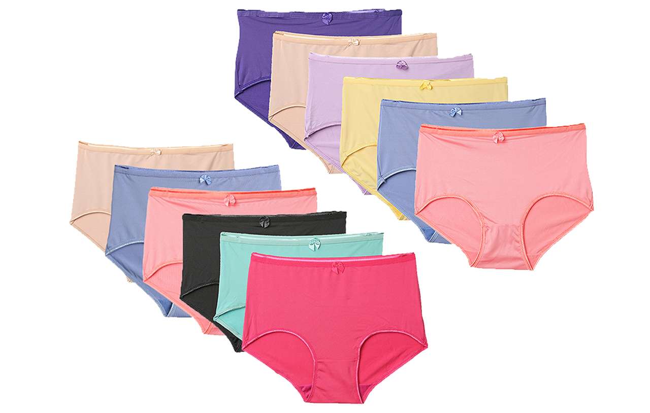 Women's Nylon/Spandex Briefs - Assorted Colors, Sizes 11 -14