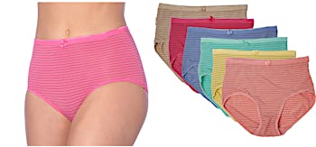 DECENTTRADERUSAWomens Panties in Bulk, Wholesale Ladies Brief Underwear,  Homeless Shelters Charity Donations120 Pack Assorted size. Small to 2XL