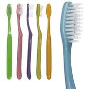 Adult Streamline Toothbrush - 37 Tufts, 6 Assorted Colors
