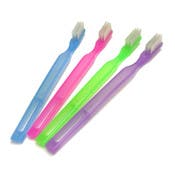 Adult Pre-pasted Toothbrushes - Assorted Colors, 6.5"